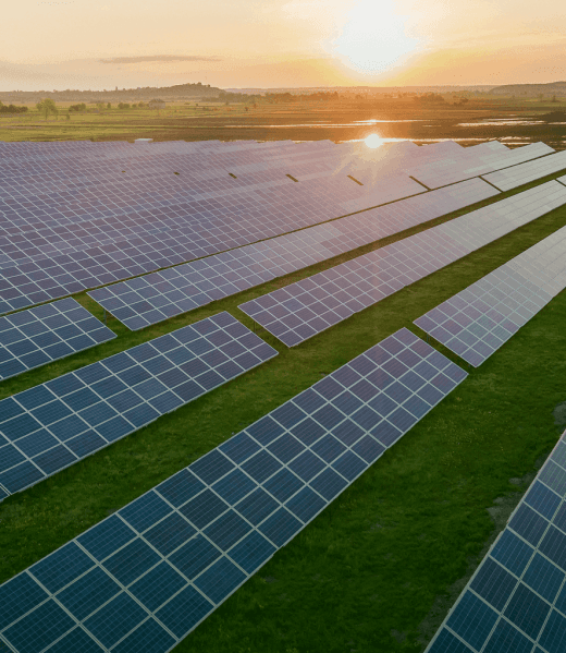 Solar farm at sunrise